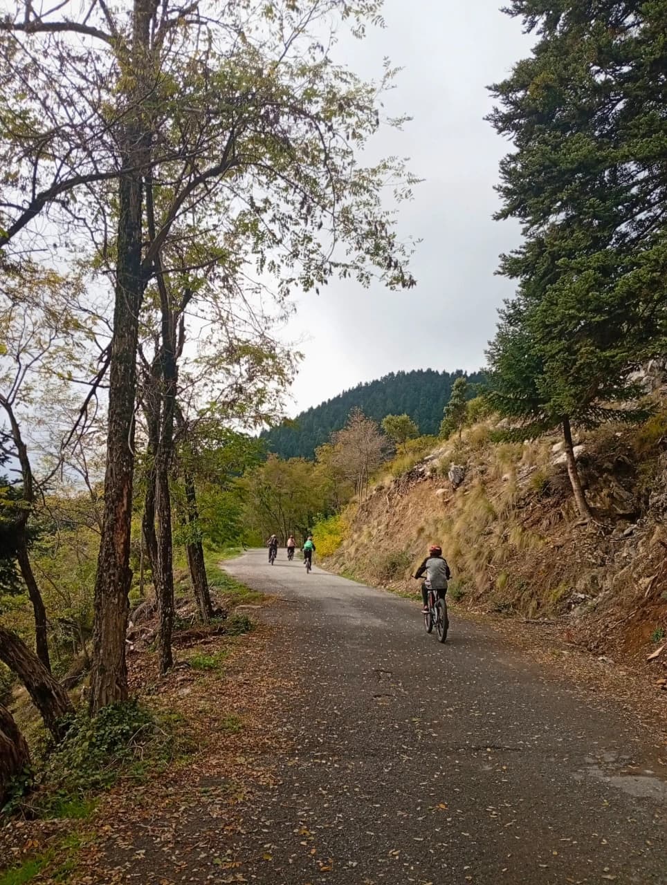 Menalon-Wald E-Bike-Tour – Flow