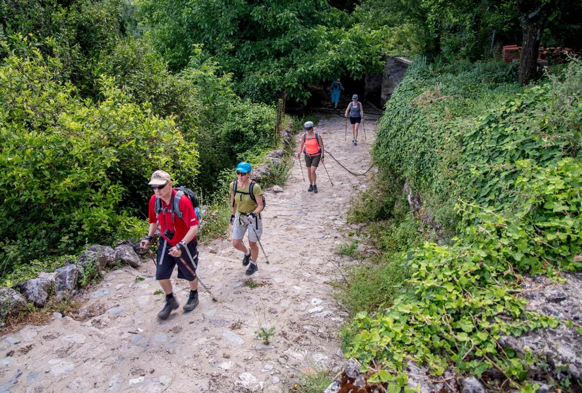 Hikers with backpacks and poles climbing a stone cobbled trail through green woods above Kalamata