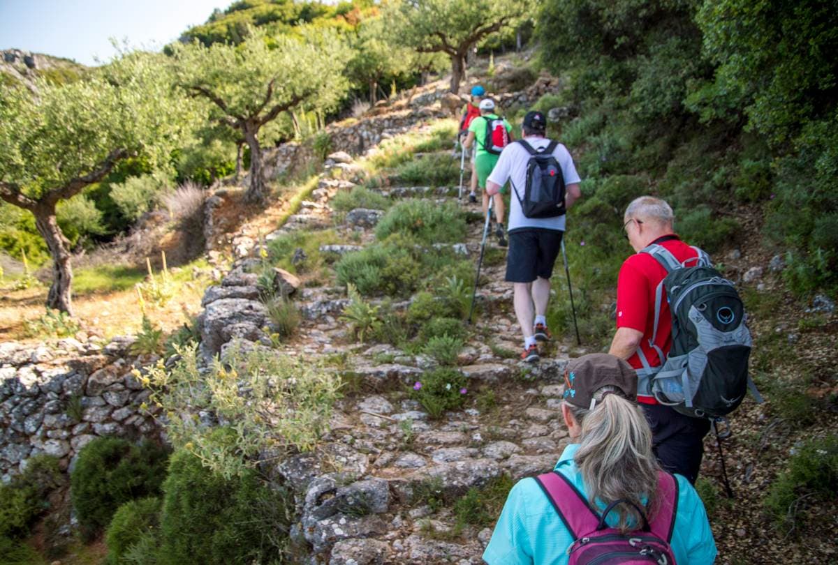 Hikers with poles and backpacks climb a stone path through olive trees on the hills above Kalamata