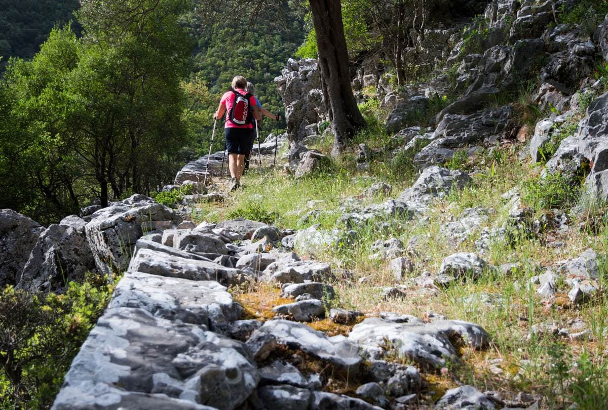 Hiker with backpack and poles climbing a rocky stone-walled trail through woodland above Kalamata