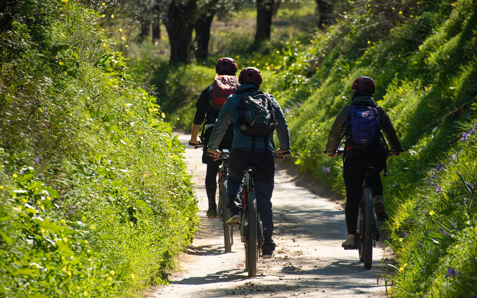Three e-bikers seen from behind riding a narrow green country lane near Kalamata
