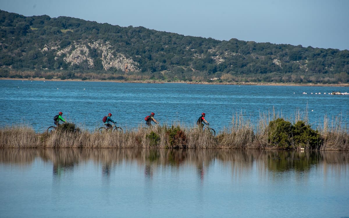 Explore Messinia E-Bike Navarino 88616