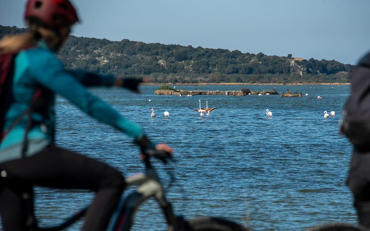 Explore Messinia E-Bike Navarino 88651