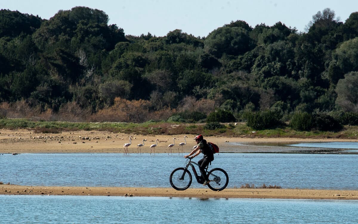 Explore Messinia E-Bike Navarino 88671
