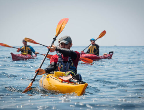 Sea kayak Leader & Sea Kayak Award Εκπαιδεύσεις – Πιστοποιήσεις Αθήνα Νοέμβριος 2024