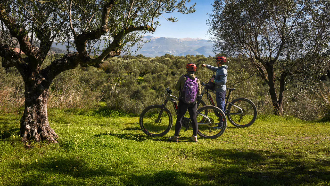 These tours are a unique blend of mild adventure with Kalamatian flavors makes it the perfect family-friendly e-bike experience.