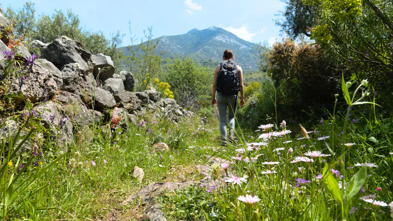 Exploring the Viros Gorge trail. Hiker exploring the Viros Gorge trail in Kardamyli, surrounded by wildflowers and mountain views.