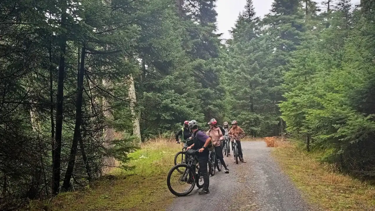 g6uyedg4qxvrdl5ulo8x g6uyedg4qxvrdl5ulo8x