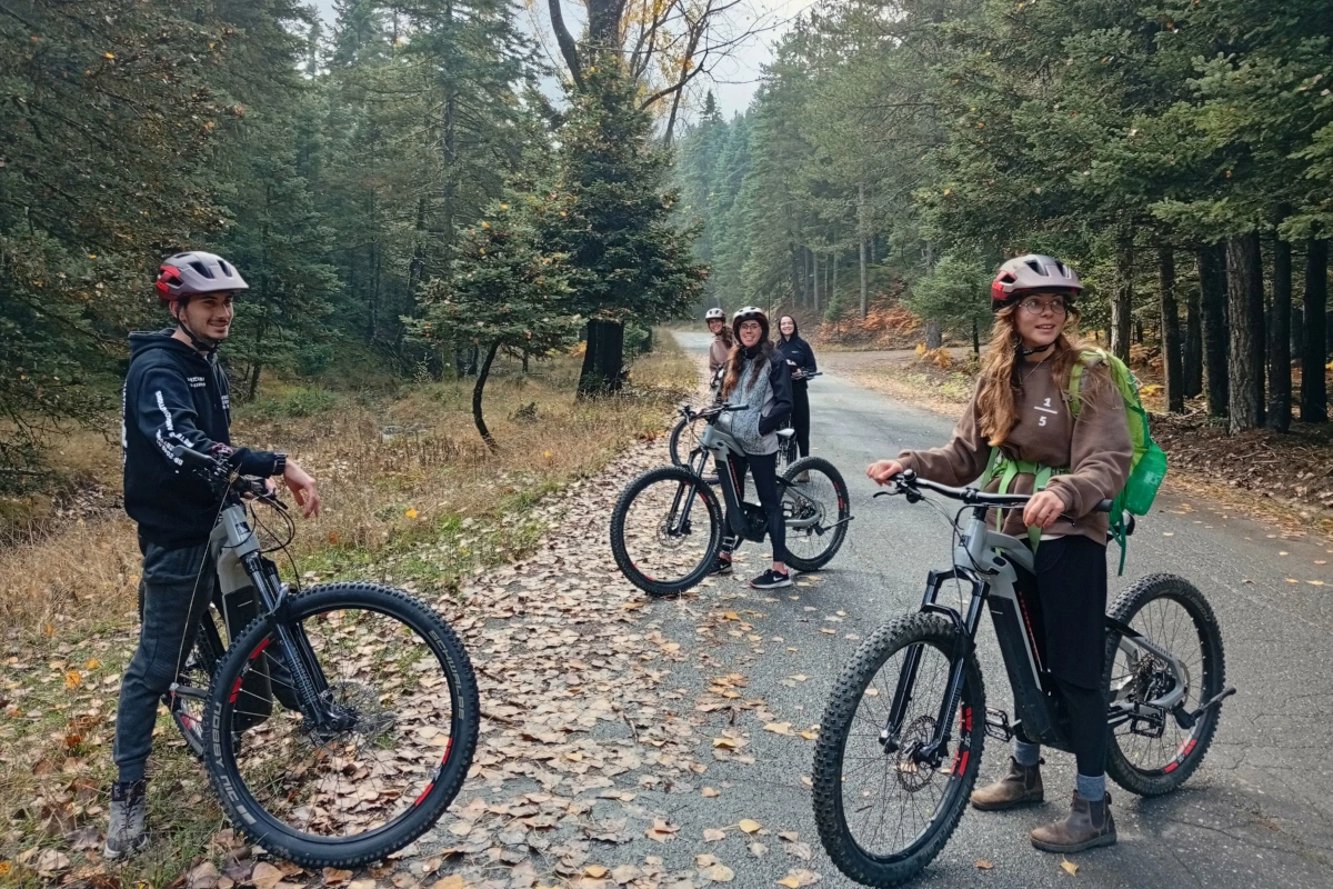 menalon forest ebike tour hero menalon forest ebike tour hero